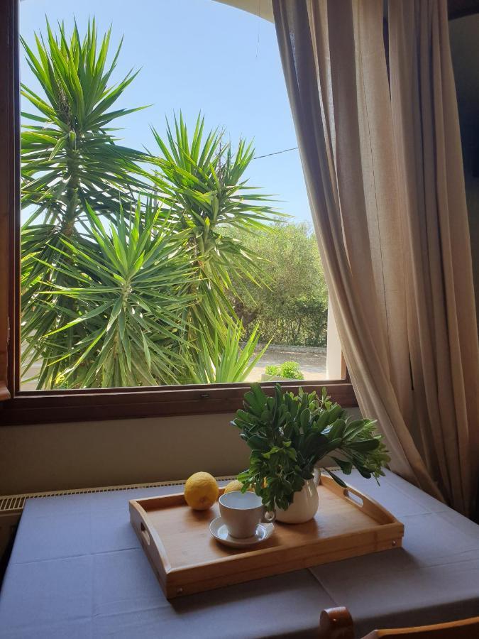 Angela Studios Apartment